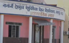 नानाजी देशमुख विश्वविद्यालय जबलपुर का प्रवेश द्वार और जांच रिपोर्ट की फाइल।