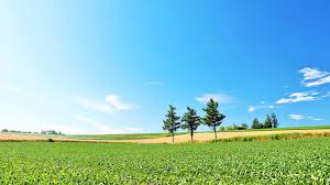 weather-update-mp-chhattisgarh-rajasthan-relief-from-cold-february-2026