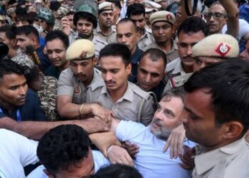 मध्य प्रदेश विधानसभा परिसर स्थित मुख्यमंत्री कार्यालय के बाहर तख्तियां लेकर धरने पर बैठे नेता प्रतिपक्ष उमंग सिंघार और कांग्रेस विधायक।