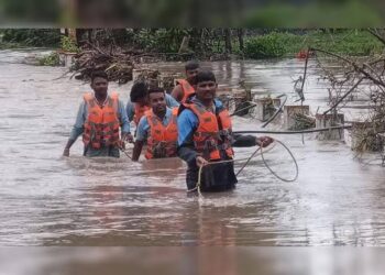 भोपाल में मूसलाधार बारिश के बाद जलभराव और बाणगंगा क्षेत्र में जल निकासी का निरीक्षण करते कलेक्टर प्रियंक मिश्रा।