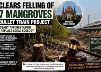 मुंबई-अहमदाबाद बुलेट ट्रेन निर्माण कार्य और तटीय मैंग्रोव जंगलों की प्रतीकात्मक तस्वीर।