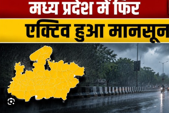 मध्य प्रदेश 24 अगस्त 2026 मौसम समाचार और डिंडोरी-बालाघाट भारी बारिश अलर्ट।