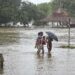 मध्य प्रदेश में मूसलाधार बारिश के चलते जलभराव और मौसम विभाग (IMD) द्वारा जारी ऑरेंज अलर्ट का मैप।